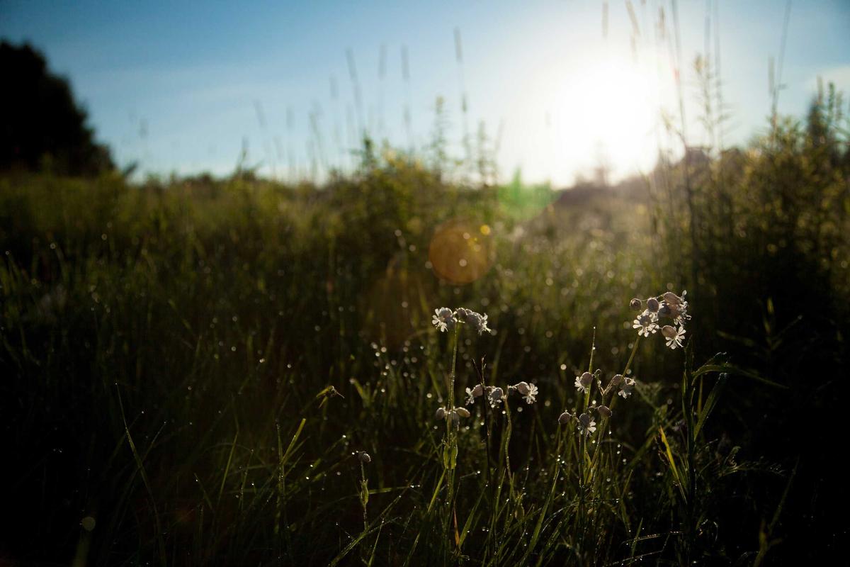 CATAHU 2024: MENATA DATA, MENAJAMKAN ARAH: REFLEKSI PENDOKUMENTASIAN DAN TREN KASUS KEKERASAN TERHADAP PEREMPUAN